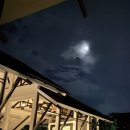 고투베드 | 보홀 다이빙샵 고투다이브 내돈내산 숙소 후기( )