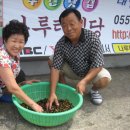 나루터식당 Daum카페
