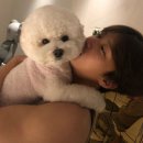 심바글로벌