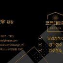 코튼데이지 이미지