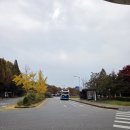 광명시재활용센터 | 25.11.08 [광명시]광명동굴 광명데이트 코스 단풍놀이까지한 광명여행