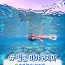 무려 9일 황금 연휴! 9월 해외여행지 BEST8 추천 이미지