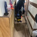 몰라 PC방 이미지