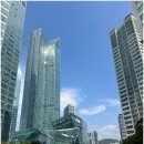 태생파크 | 결혼식에 잘 어울리는 아름다운 클래식 선율 - 파크하얏트 부산