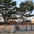 두정2리경로당 이미지