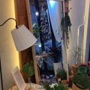 카페플로버 이미지