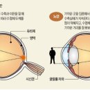 모노클안경원 이미지