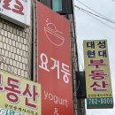 요거둥 이미지