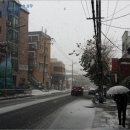 용산-423 이미지