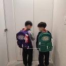 아이스비스킷 - 여수시 국포1로 36 | 아이스비스킷 백팩 사용 후기｜초등 저학년·신학기 가방