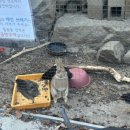 얼음골폭포민박 이미지