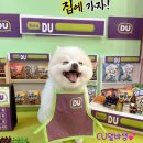 뭉미샵 이미지