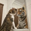 26470-01-21-303 | 2026/01 뭐든 가능할 것 같은 괜히 그런 날 있잖아