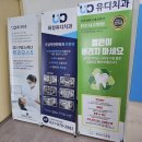 유디성서치과의원 | 치과 외과 전문의가 있는 곳, 임플란트 엄청 잘하는 화정 유디치과