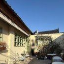 카페드파리 | [경주] 트리가 정말 예쁜 황리단길 카페 로제드 파리 방문후기 (디저트 강추 )