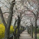 근자농장 이미지