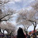 [2025.3.30~4.1]중학교 친구들과 귤나라 여행🍊