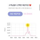 데이라이트 | 빅직경 렌즈 [렌블링 데이라이트 그레이] 내돈내산 후기(+커밍초코, 메가퓨어블 비교)