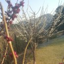 청평옆집언니 이미지