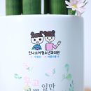 채움소아청소년과의원 이미지