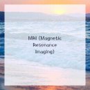 걷자의원 이미지