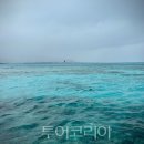 (주)크라운항공여행사 이미지