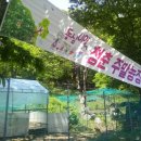 비에스프라임