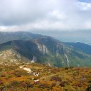 은빛추억 이미지