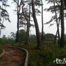 미남민박 이미지