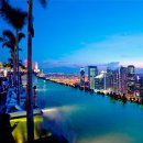 문라이트(Moon Light) 이미지