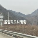 평창 | 준우 두돌 겸 다녀온 평창 켄싱턴 후기:)