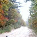 대관령초등학교 이미지