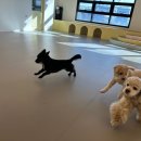 포우 파라다이스 이미지