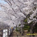 삼랑진발전처 이미지