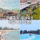 미디어월드엔터테인먼트(주) | 놓치면 후회하는 여름휴가 국내여행 수영장 호텔 리조트 호캉스 특가예약