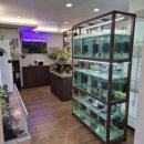 아쿠아수족관 이미지