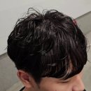 나비드헤어 이미지