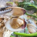 일품칼국수 | 오이도 칼국수 맛집 풍미깊은 일품백합칼국수 후기