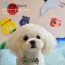 Happy 애견샵 이미지