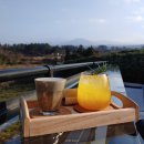 제주도여행5 한라산뷰 카페 씨힐,곽지해수욕장,한담해안산책로