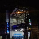 라라피쉬 이미지