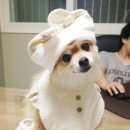 러브쏘잉