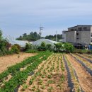 갈산2통 마을회관 이미지