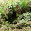 천년비자 이미지