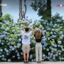 평화로옛집 이미지