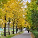 아름드리 목장 이미지