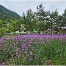 퍼플여행 이미지