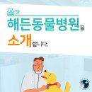 24시동물병원공감