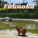 구의공원 옆(하절기 5월 1일 ~ 10월31일) | 우미노나카미치 공원 전철 지하철 가는 법 입장료 동물원 자전거 대여 후기 | 후쿠오카 가볼 만한 곳