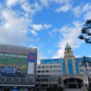 강호환경자원 | 직관후기 : 2024 서울 홈리스월드컵 남녀 결승전(+한일전 연습경기)